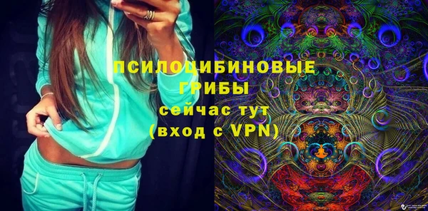дживик Алексеевка
