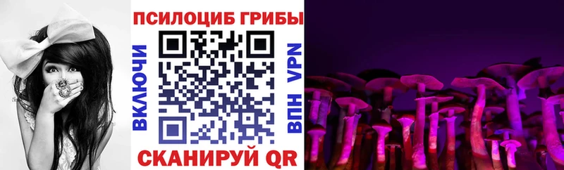 Псилоцибиновые грибы Psilocybe  ОМГ ОМГ как зайти  Куйбышев 